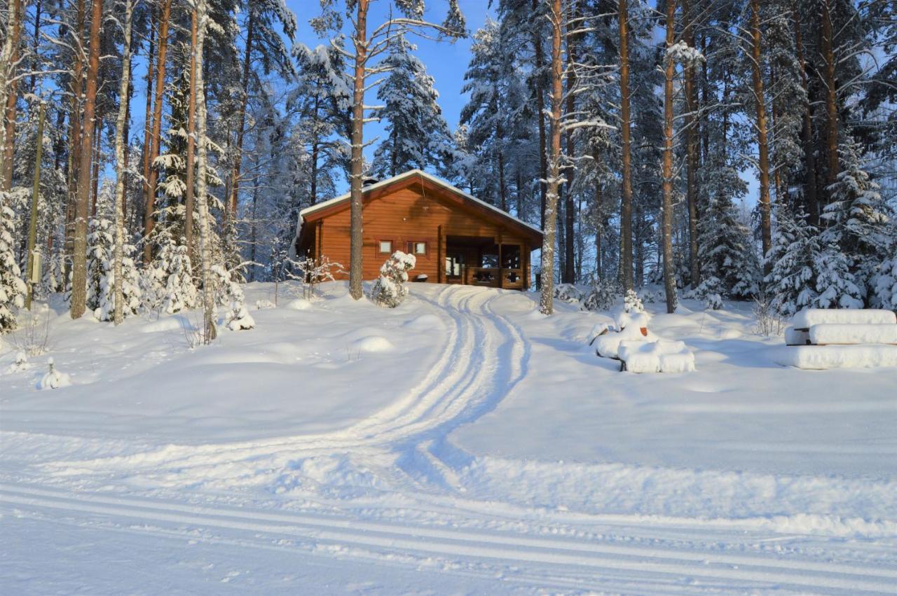 Rinnepelto Holiday Cottages Tahkovuori Zewnętrze zdjęcie
